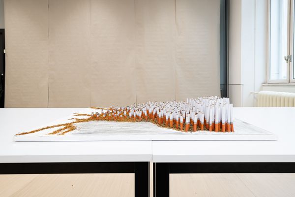 
        Foto der Abschlussarbeit »aua: "Entangled Atmospheres: Speculative Design of Air Pollution Sensing"« von Khadisha Dabayeva. Semester: Winter 2023/24. Abteilung: Cross-Disciplinary Strategies. Werksangabe: Mixed-media installation. Universität für angewandte Kunst Wien.
      