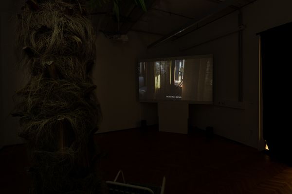 Foto der Abschlussarbeit »BEI DER PALME UNTEN - An exploration of urban settings through personal stories« von Laura Mann. Semester: Winter 2022/23. Abteilung: Social Design – Arts as Urban Innovation. Werksangabe: Videoinstallation. Universität für angewandte Kunst Wien.