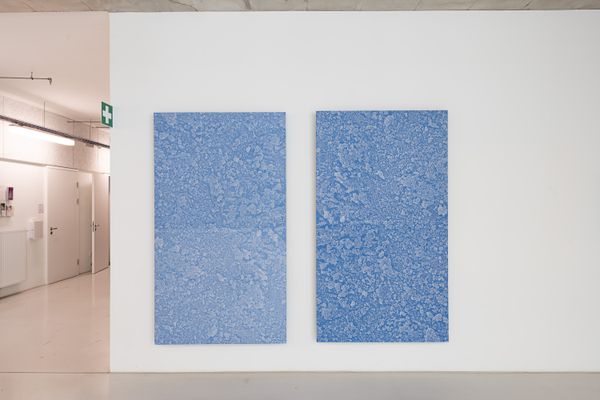 
        Foto der Abschlussarbeit »Metamaterial« von Claus Lam. Semester: Sommer 2024. Abteilung: Art & Science. Werksangabe: 2024, Serigraphie. Universität für angewandte Kunst Wien.
      