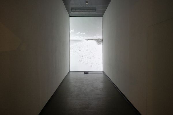 
        Foto der Abschlussarbeit »looking for you« von Kilian Hanappi. Semester: Sommer 2024. Abteilung: Digitale Kunst. Werksangabe: 2024, Net-Art und Videoinstallation. Universität für angewandte Kunst Wien.
      