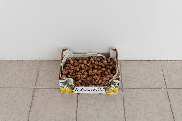 
        Foto der Abschlussarbeit »envelope« von Aaron Amar Bhamra. Semester: Sommer 2023. Abteilung: Transmediale Kunst. Werksangabe: 2023, installation. Universität für angewandte Kunst Wien.
      