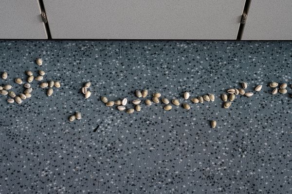 
        Foto der Abschlussarbeit »You’re so worth it, Baby!« von Raky Josefine Wane. Semester: Sommer 2024. Abteilung: Cross-Disciplinary Strategies. Werksangabe: 2024, series of five photographs, 40 x 60 cm, printed on aluminium bond. Universität für angewandte Kunst Wien.
      