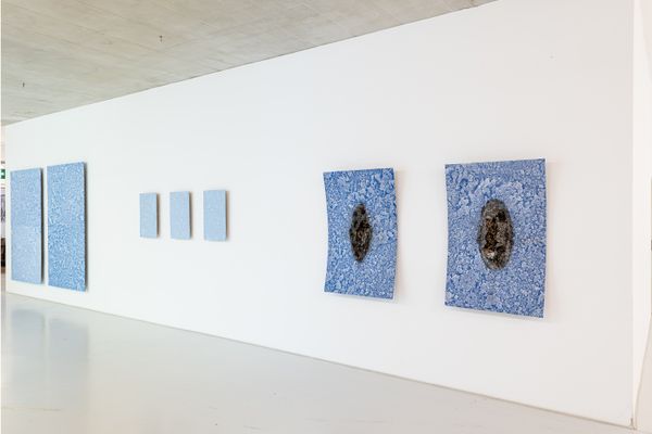 
        Foto der Abschlussarbeit »Metamaterial« von Claus Lam. Semester: Sommer 2024. Abteilung: Art & Science. Werksangabe: 2024, Serigraphie. Universität für angewandte Kunst Wien.
      