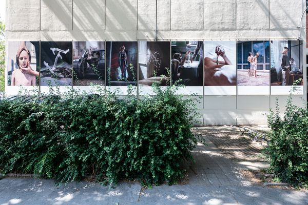 Foto der Abschlussarbeit »Unknown Polyphenism« von Philip Tsetinis. Semester: Sommer 2022. Abteilung: Angewandte Fotografie & zeitbasierte Medien. Werksangabe: Fotografie /Plakat-Ausstellung. Universität für angewandte Kunst Wien.