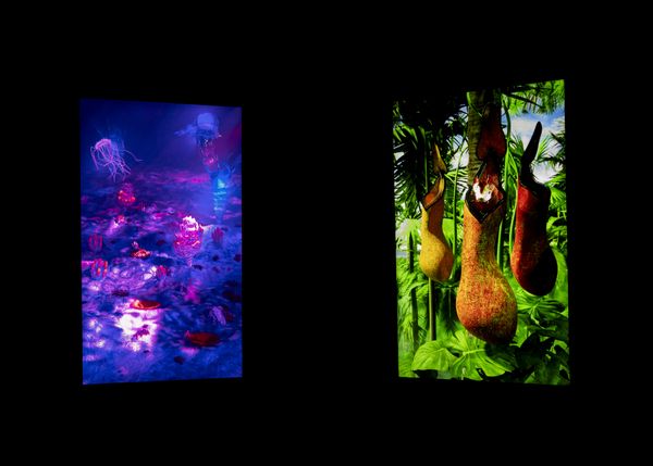 
        Foto der Abschlussarbeit »Holobiomics« von Sebastian Alexander Konzett. Semester: Sommer 2026. Abteilung: Experimental Game Cultures. Werksangabe: Multimedia installation with playable interfaces embedded in a sculptural object
Bilder/images: © die Angewandte, 2026, Lea Sonderegger, CC-BY-NC-ND-4.0. Universität für angewandte Kunst Wien.
      