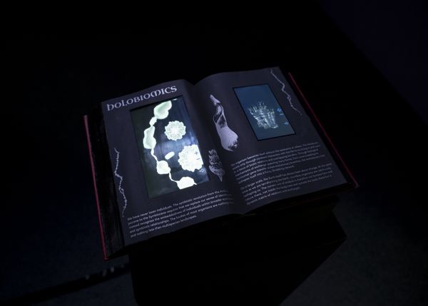 
        Foto der Abschlussarbeit »Holobiomics« von Sebastian Alexander Konzett. Semester: Sommer 2026. Abteilung: Experimental Game Cultures. Werksangabe: Multimedia installation with playable interfaces embedded in a sculptural object
Bilder/images: © die Angewandte, 2026, Lea Sonderegger, CC-BY-NC-ND-4.0. Universität für angewandte Kunst Wien.
      
