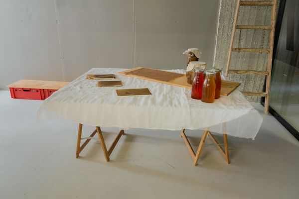 
        Foto der Abschlussarbeit »correspondent trans*mutations« von Momo E. Hontebeyrie. Semester: Winter 2025/26. Abteilung: Cross-Disciplinary Strategies. Werksangabe: Multimedia installation: 2 bioleather tapestries, soundscape, books, score; Images: © die Angewandte, 2026, photos: Erli Grünzweil, CC-BY-NC-ND-4.0. Universität für angewandte Kunst Wien.
      
