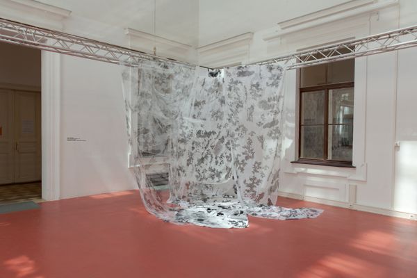 Foto der Abschlussarbeit »Heilig sei uns das Wasser! Overcoming the individual through aquatic embodiment« von Diletta Caregnato. Semester: Sommer 2026. Abteilung: Cross-Disciplinary Strategies. Werksangabe: Mixed-Media-Installation (Siebdruckfotografien auf Stoff; Texte und Bilder auf transparentem Papier) / Mixed-media installation (screen-printed photographs on fabric; text and images on transparent paper)
Bilder/images: © die Angewandte, 2026, Giorgio Flagranti, CC-BY-NC-ND-4.0 . Universität für angewandte Kunst Wien.