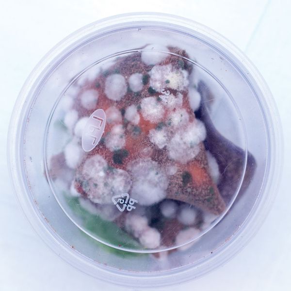 Image by ©© Tracy Thompson