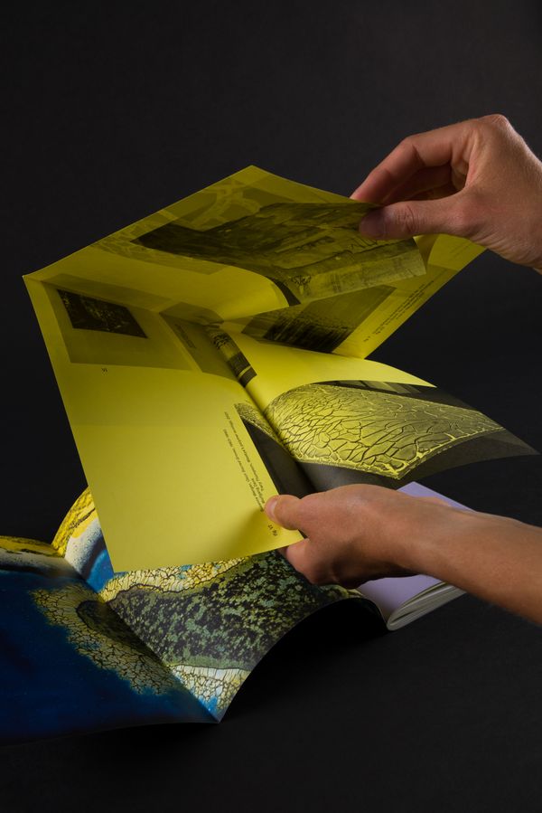 AIL-Publication: Ecologies & Politics of the Living. Publication Design: Marie Artaker, © Sophie Pölzl  | Image by ©© Sophie Pölzl 