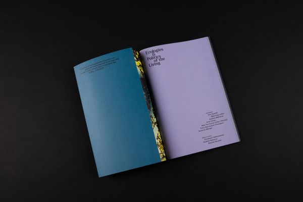 AIL-Publication: Ecologies & Politics of the Living. Publication Design: Marie Artaker, © Sophie Pölzl  | Image by ©© Sophie Pölzl 