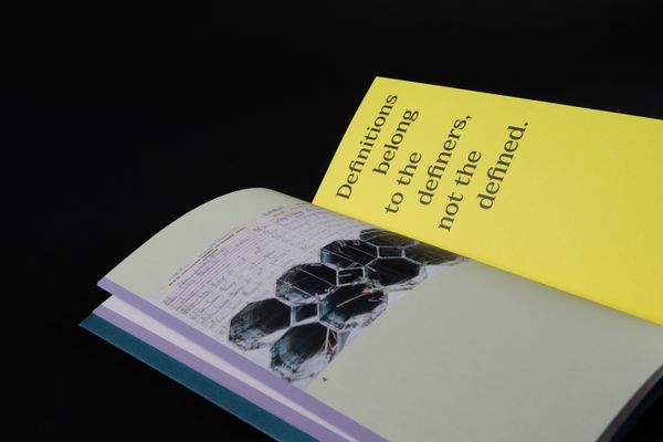 Look inside the AIL-Publication: Ecologies & Politics of the Living. Publication Design: Marie Artaker, © Sophie Pölzl  | Image by ©© Sophie Pölzl 