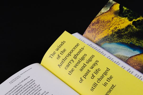 AIL-Publication: Ecologies & Politics of the Living. Publication Design: Marie Artaker, © Sophie Pölzl  | Image by ©© Sophie Pölzl 