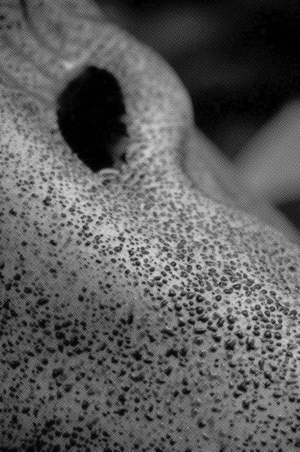 Image by ©