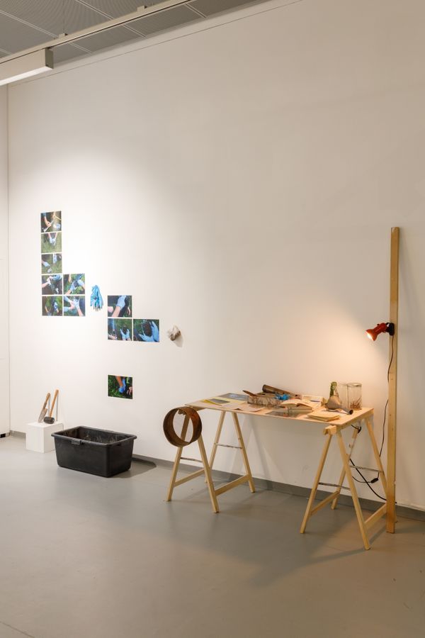 Table with tools and wall installation with images of blue rubber working gloves and objects | Image by ©