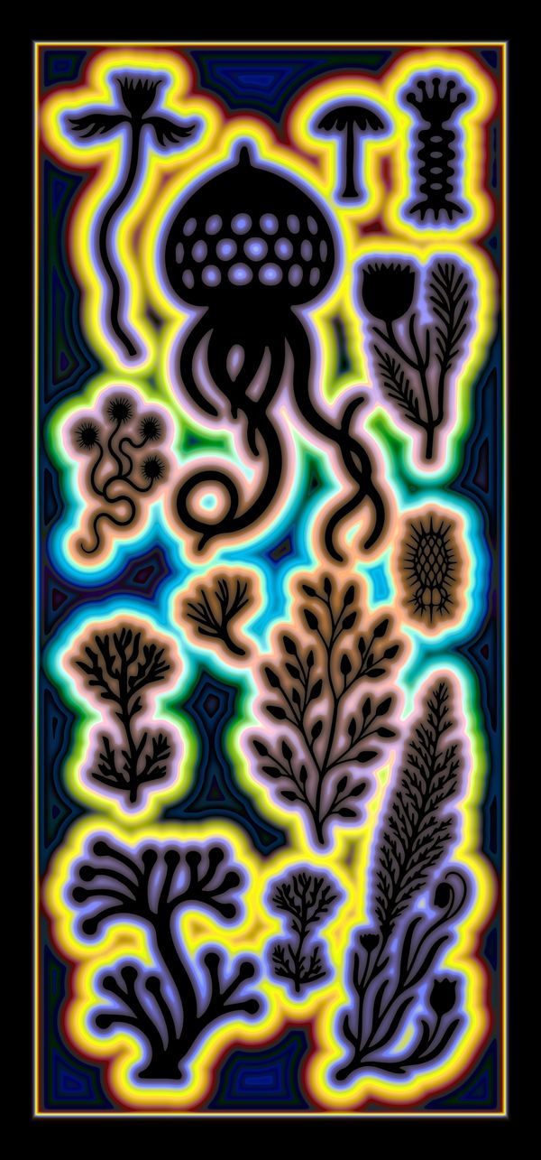 colourful illustration of plants and mushrooms | Image by ©