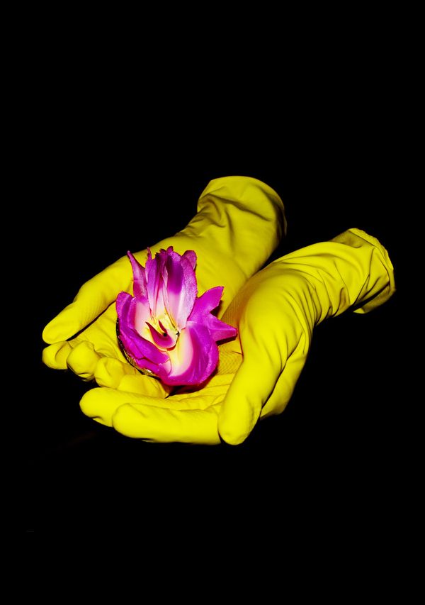 hands in rubber gloves holding a flower | Image by ©