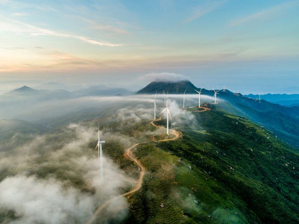 Wind Turbines in Managing Nature-Related Risk