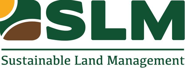 SLM_tagline_with_background logo