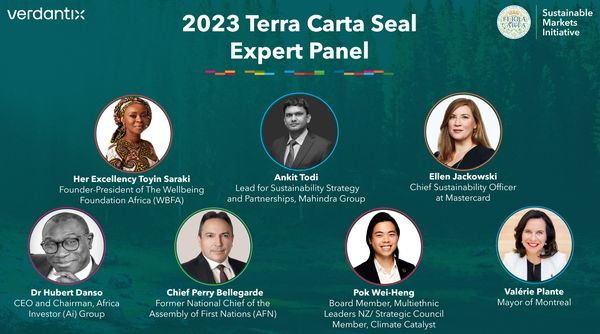 Terra Carta Seal Expert Review Panel