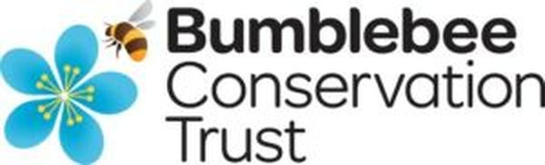 bumblebee logo