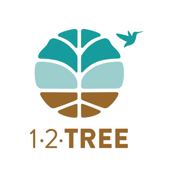 12 tree logo
