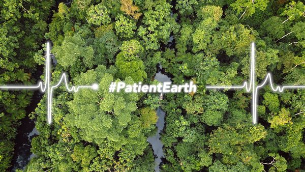 Patient Earth