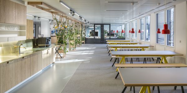  Cundall and Dirk Lindner