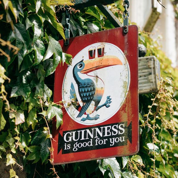 red guinness sign with toucan picture