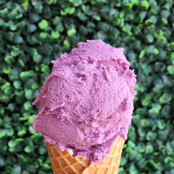 organic yogurt and blueberries Italian ice cream