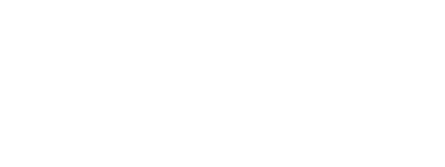 Vue Storefront's logo