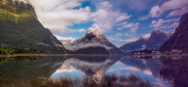 New Zealand Banner image