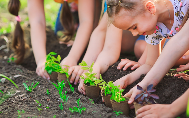 kids planting