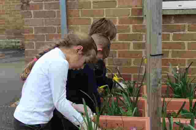 Gardening at After School Club