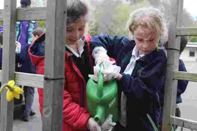 Term Time Gardening