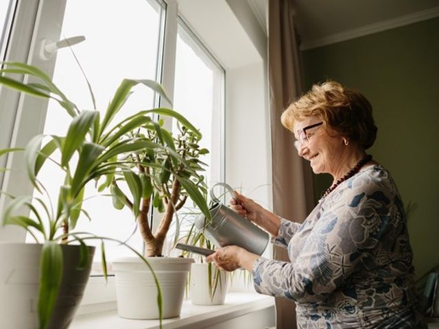Beyond the Basics: The Independent Living Amenities You Deserve in Sussex County
