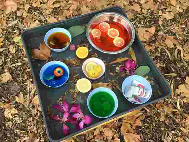 A tray with colorful bowls of liquid, lemon slices, and flower petals, sits on autumn leaves.