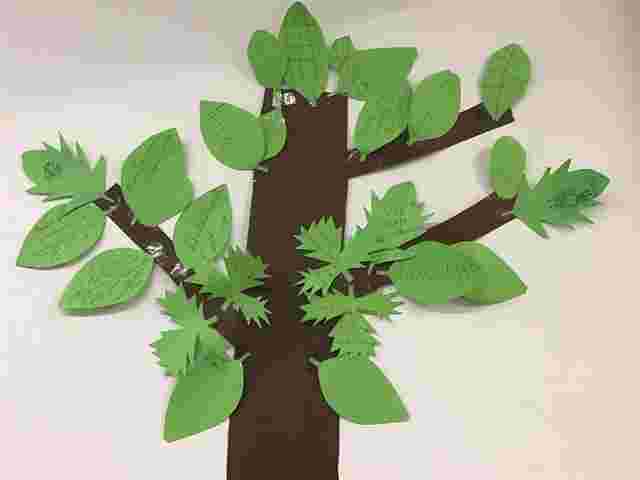 oshclub tree 2