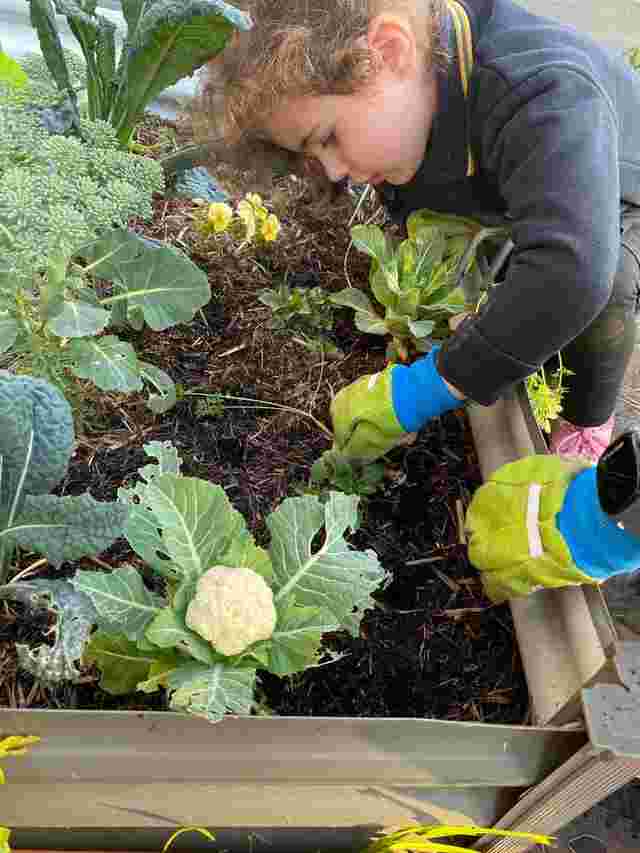 kids planting