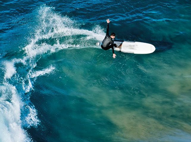 FCS II Thomas Bexon PG 11.5 Longboard Fin - Bloom