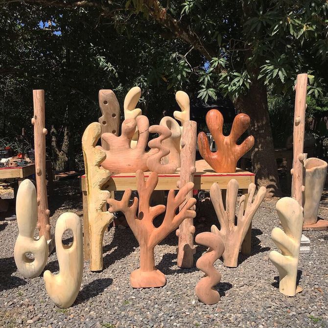 variety of wooden coral sculptures placed outdoors