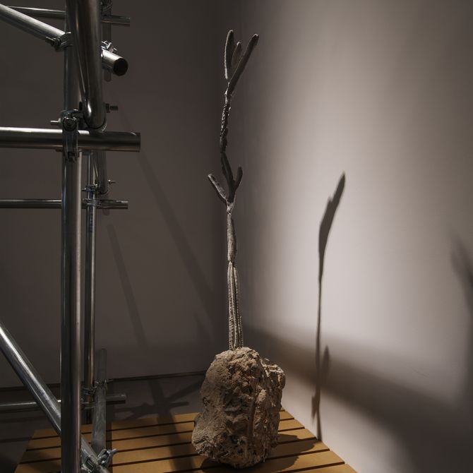 installation view of plant sculpture emerging from a concrete block and its shadow projected against a wall