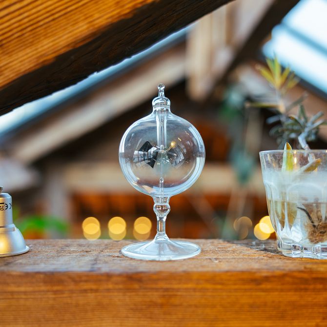 a lightbulb, a glass scientific vessel and a cup containing a propagating plant 
