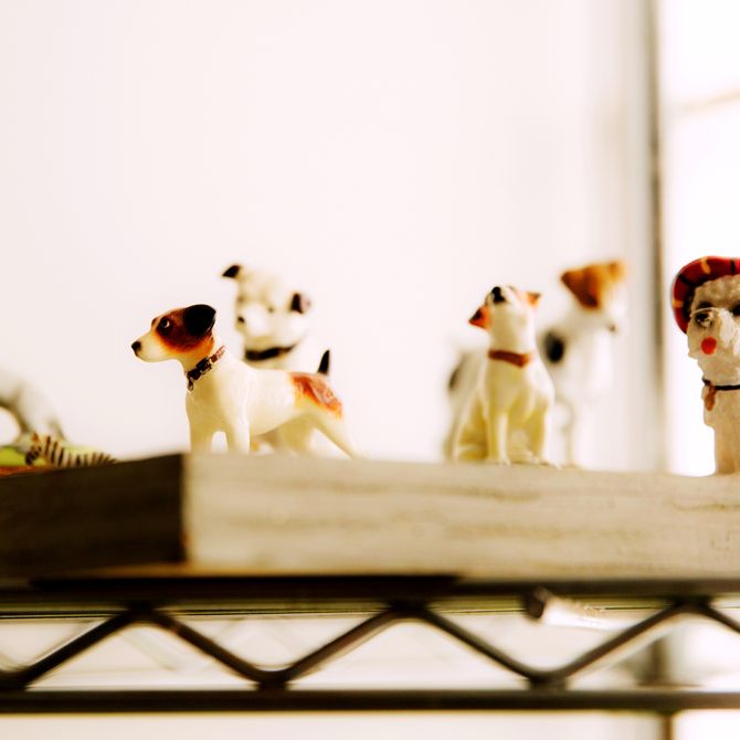 miniature dogs lined up in Deborah Brown's artist studio