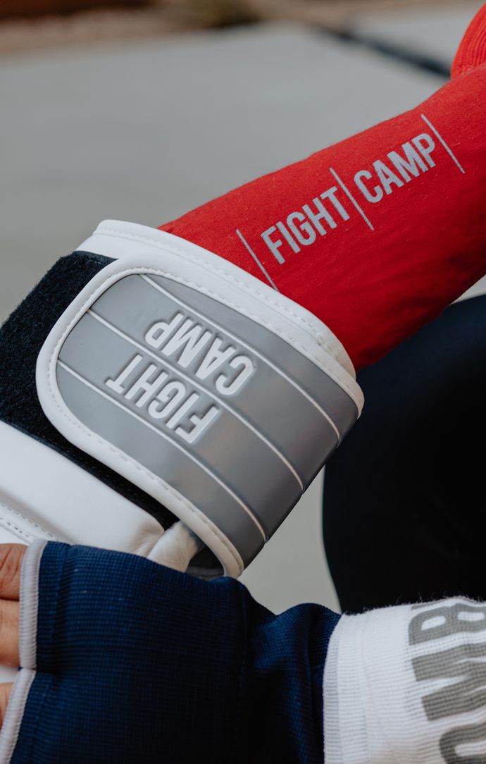 FightCamp Boxing Gloves and Glove Dogs