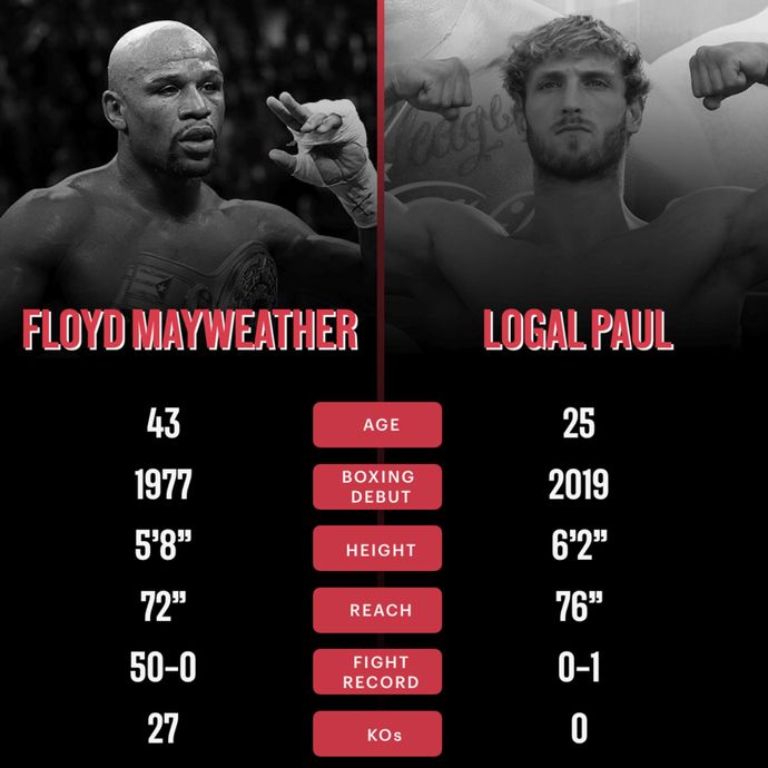 Floyd Mayweather and Logan Paul Boxing Statistics