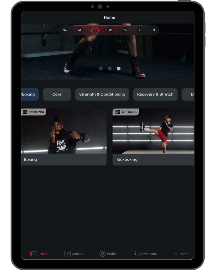 Boxing & Kickboxing Workout Collections