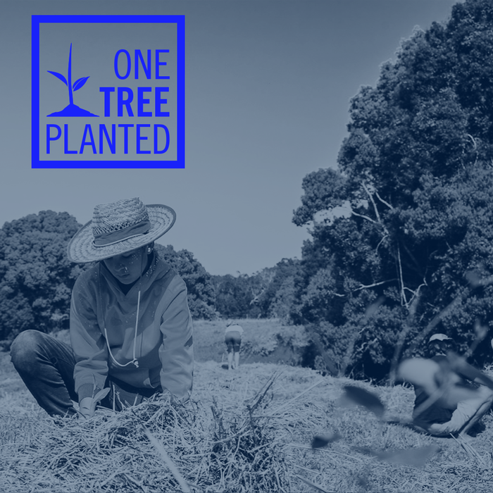A World-Changing Partnership: R+Co BLEU + One Tree Planted