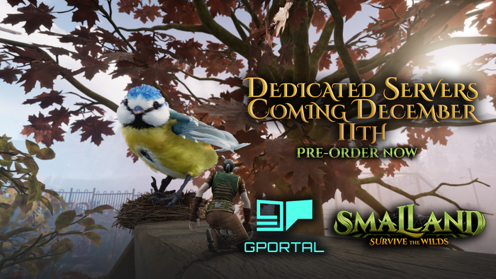 Dedicated servers, coming to Smalland!