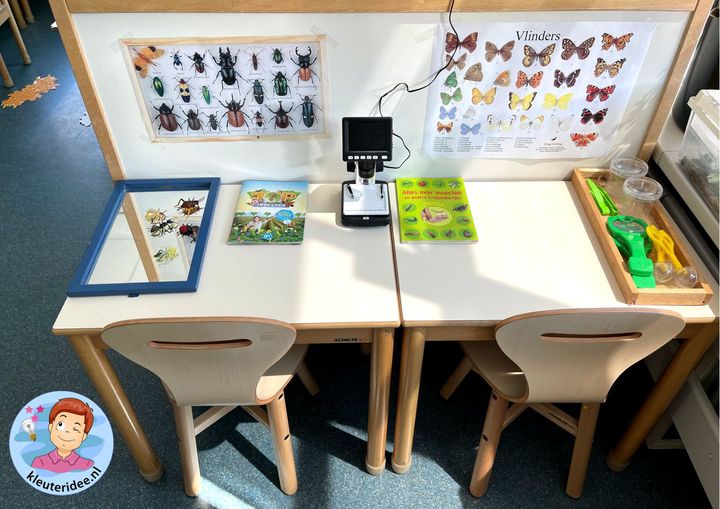 Onderzoek hoek thema insecten kleuters, minibeasts Kindergarten theme, kleuteridee 